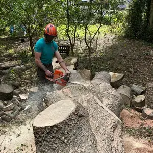 Emergency tree service