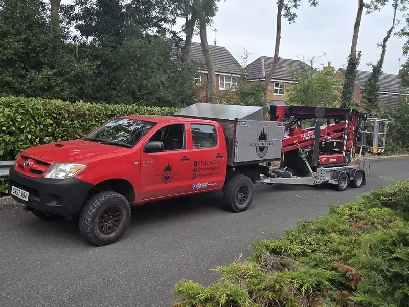 ruthin tree care tree surgeon north wales