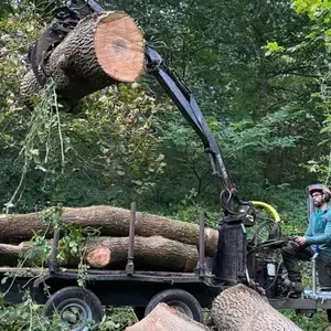 garden and land clearance