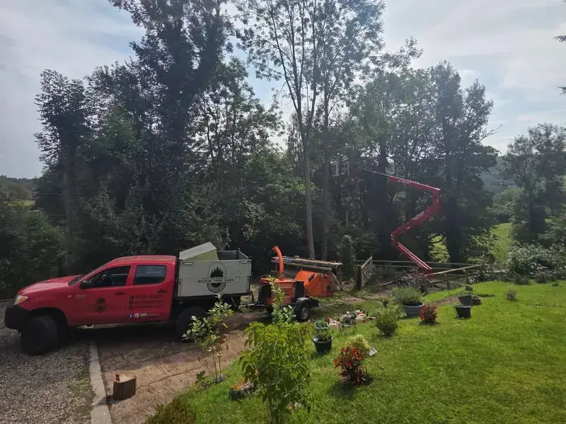 garden maintenance and landscaping hero image
