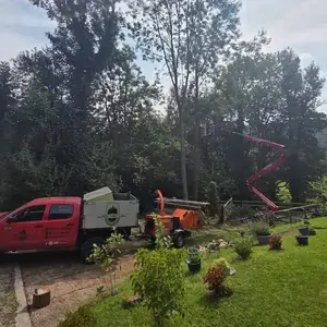 garden maintenance and landscaping