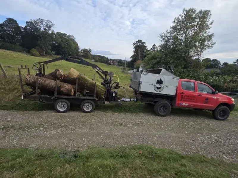 land clearance services image